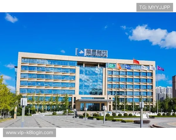 凯发k8娱乐官方推出多项优惠活动吸引新老用户共同开启娱乐新体验