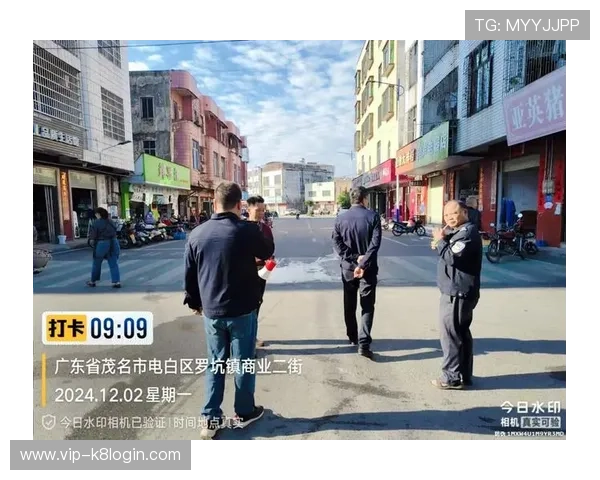 凯发官方旗舰店：便捷的支付方式，安全保障，购物流程更加顺畅