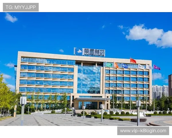 凯发集团网页版登录入口安全保障措施与用户登录安全指南